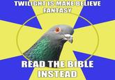 Religion Pigeon