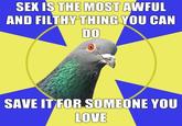 Religion Pigeon