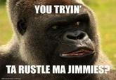 That Really Rustled My Jimmies