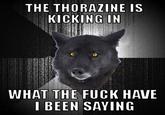 Insanity Wolf