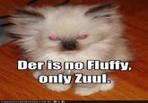 There is No Dana, Only Zuul