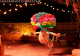 Circus Afro / Afro Circus