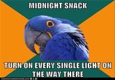 Paranoid Parrot