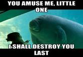 Overlord Manatee