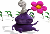 I feel just like a purple pikmin.