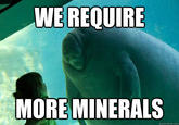 Overlord Manatee