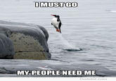 I Must Go