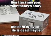 Call Me Maybe