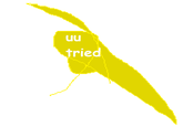 You Tried