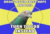 Religion Pigeon