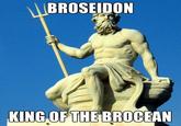 Bro