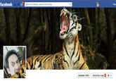 Facebook Timeline Covers