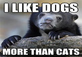 Confession Bear