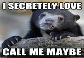Confession Bear