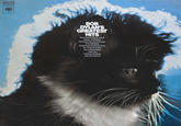 The Kitten Covers
