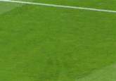Mario Balotelli's Goal Celebration