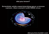 Did You Know?