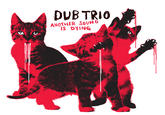 The Kitten Covers