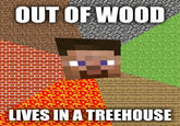 Minecraft Guy