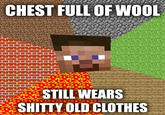 Minecraft Guy