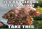 Bees