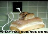 What Has Science Done?