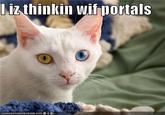 Thinking With Portals