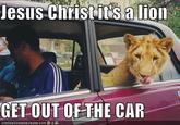 Jesus Christ It's a Lion Get In The Car!