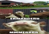 Ermahgerd