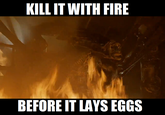 Kill It With Fire