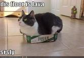 The Floor is Lava / Hot Lava Game