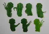 Be The Leaf