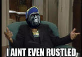 That Really Rustled My Jimmies