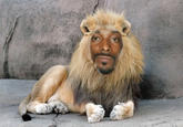 Snoop Lion