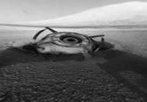 Mars Exploration