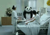 Never Say No to Panda