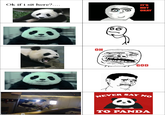 Never Say No to Panda