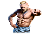 Technoviking