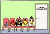 Angry Birds
