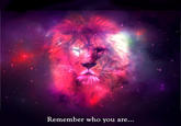 Inspirational Photo Quotes