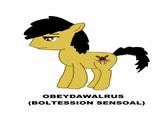 Obedece a la morsa / Obey the walrus