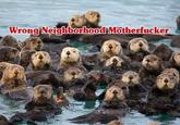You Came to the Wrong Neighborhood