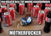 You Came to the Wrong Neighborhood