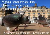 You Came to the Wrong Neighborhood