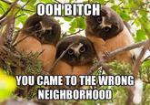 You Came to the Wrong Neighborhood