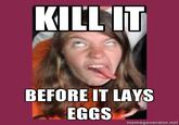 Kill it before it lays eggs