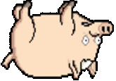 Spider-Pig / Harry Plopper