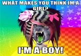 Scene Wolf