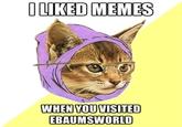 Hipster Kitty