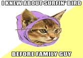 Hipster Kitty